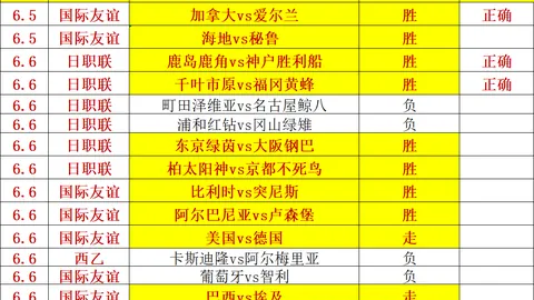 焦点对决：狂热对天空，全面解析攻略